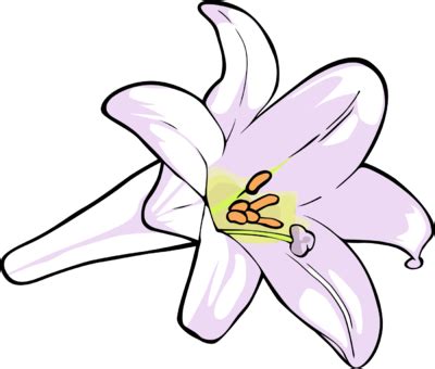 5+ Lily Clipart - Preview : Water Lily Clipar | HDClipartAll