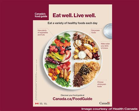 Canada's Food Guide Overhauled in 2019 | The Oldish®