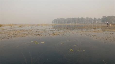 Kanwar Lake (Begusarai) - 2020 All You Need to Know BEFORE You Go (with Photos) - Tripadvisor