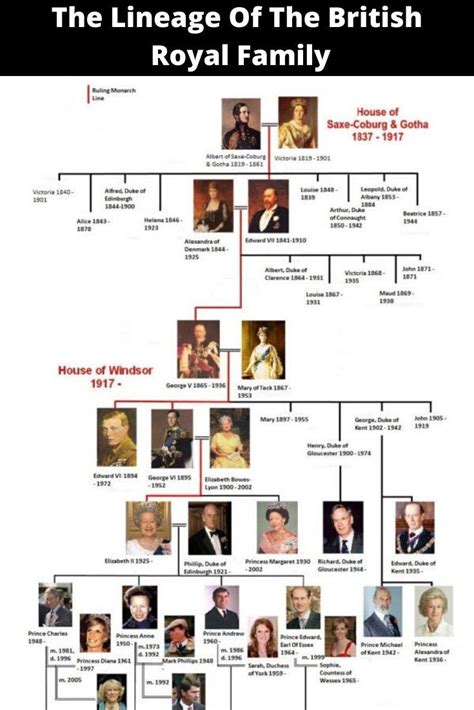 Royal Family Tree From George V