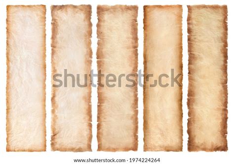 Collection Set Old Parchment Paper Sheet Stock Photo 1974224264 ...