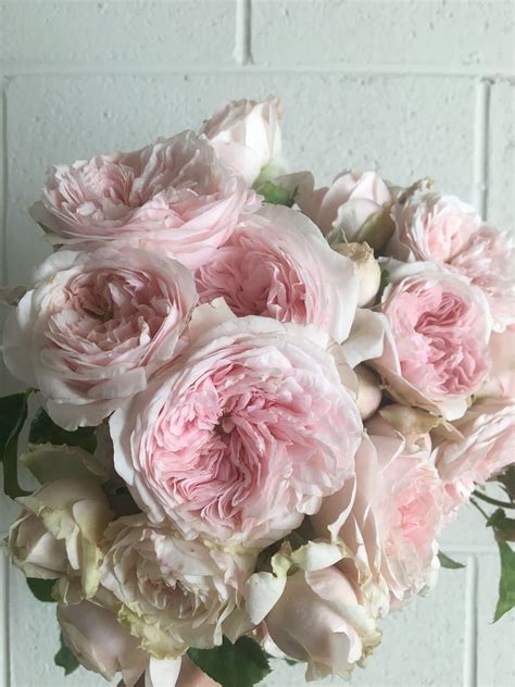 wedding bouquet of pale pink david Austin roses | Wedding bouquets, David austin roses ...