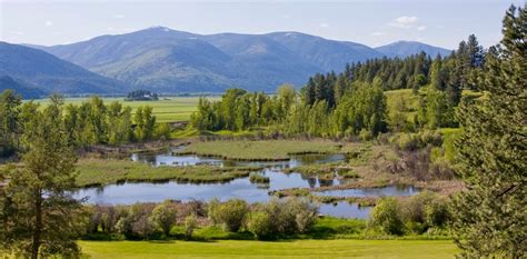 Idaho Panhandle National Forests