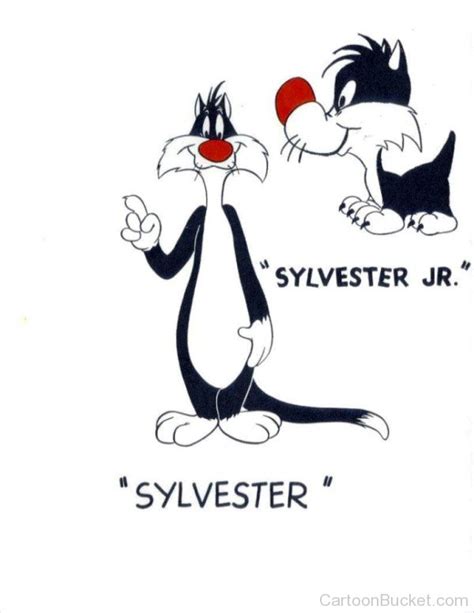 Sylvester Pictures, Images