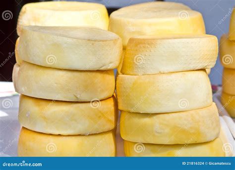 Pressed cheese stock photo. Image of cookery, cheese - 21816324