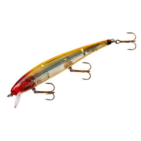 Amazon.com : Bomber Long A Fishing Lure : Fishing Diving Lures : Sports & Outdoors