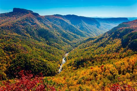 Linville Wilderness, Wisemans View, North Carolina, Linville Gorge, Hiking, Fall Leaves, Autumn ...