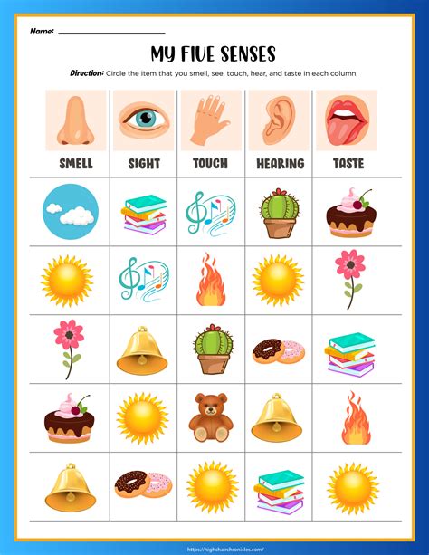 Five Senses Worksheet Busy Book Printable Preschool Learning UK | ubicaciondepersonas.cdmx.gob.mx