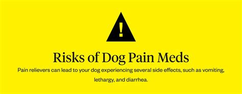 Pain Meds for Dogs: Types of Dog Pain Meds | Dutch