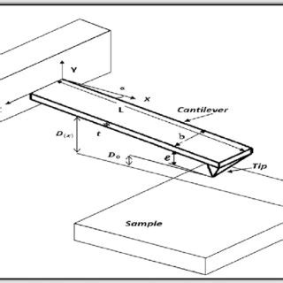 AFM cantilever with probe | Download Scientific Diagram