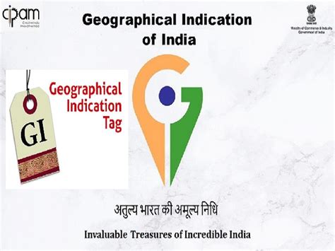 Geographical Indication (GI) Tag: Meaning, Objectives, Examples and FAQs