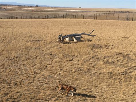 The Wild Animal Sanctuary – Keenesburg, CO