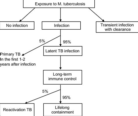 Pathogenesis Of Mycobacterium Tuberculosis Stock Vect - vrogue.co