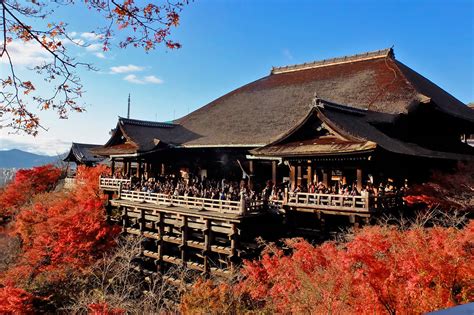 6 Best Temples to See Cherry Blossoms in Kyoto - Great Places in Kyoto for Cherry Blossoms – Go ...