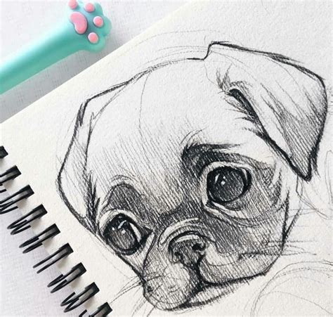 40 Free & Easy Animal Sketch Drawing Ideas & Inspiration - Brighter ...