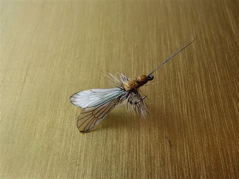 All Things Fly Fishing : The Caddis Hatch - Top 10 Fly Patterns