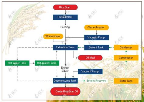 Establish Rice Bran Oil Extraction Pr