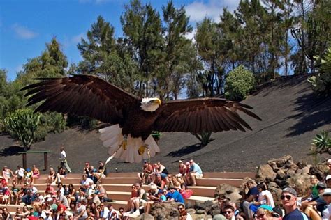 Lanzarote Attractions | TravelON.world