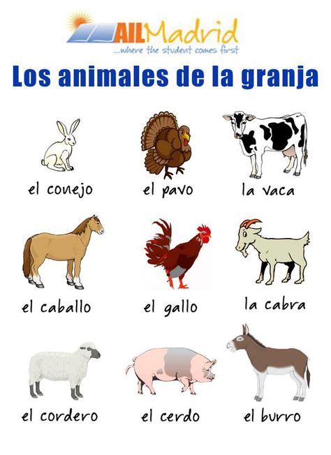 Las 13 mejores imágenes de ANIMALES en 2018 | Vocabulario español ...