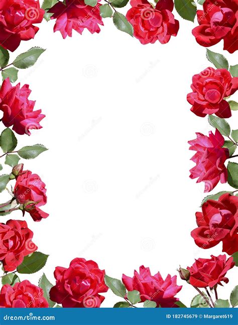 Marco De Flores Rojas Para Texto. Imagen de archivo - Imagen de flores, floral: 182745679