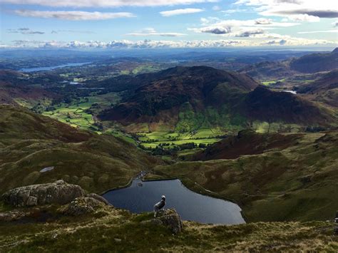 Great Langdale from Pavey Ark : r/LakeDistrict