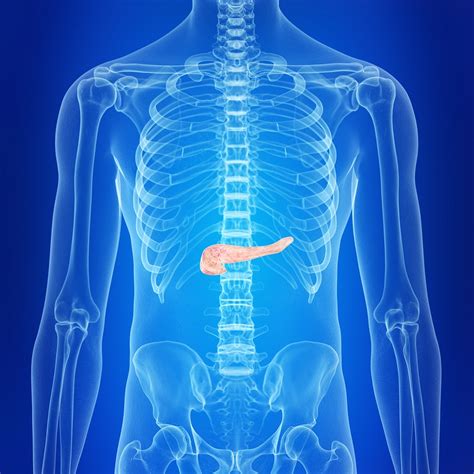 Pancreatitis Pain: Causes and Treatments | Alternative DrMCare