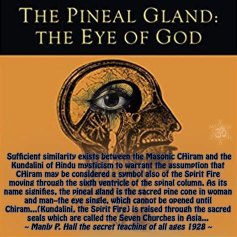 Pineal Gland…Kundalini…God…Third Eye… in 2021 | Pineal gland, Gland ...