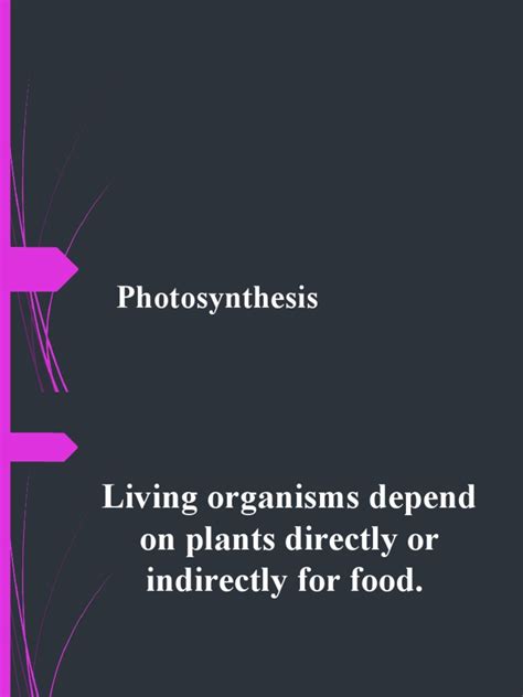 Photosynthesis OFFICIAL | PDF | Photosynthesis | Chloroplast