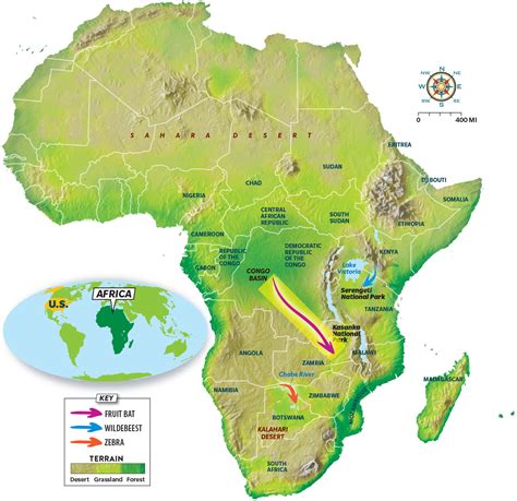 Zebra Habitat Map