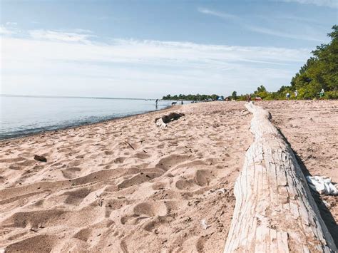 Visit the Scarborough Bluffs: The Best Hiking Trails & Beaches in ...