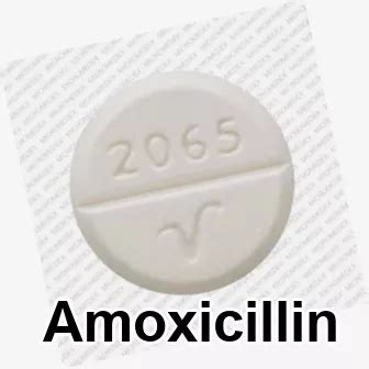 Urinary tract infection antibiotics amoxicillin dosage for bronchitis - Visa