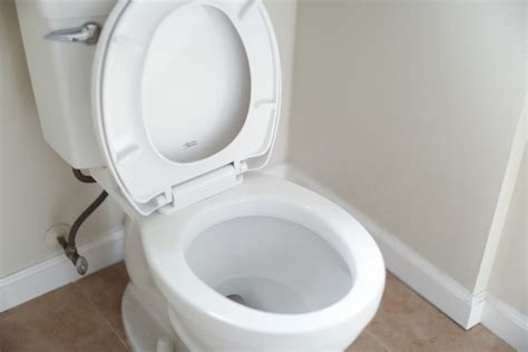 Best Toilet Bowl Cleaner - The Ultimate Guide | Pizzchzz