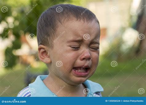 Crying Little Boy. Cry. Portrait of Boy. Caucasian Child Looks at ...