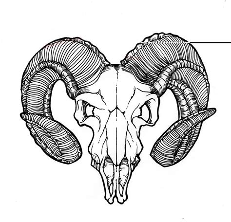 Ram Skull Drawing at GetDrawings | Free download