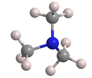 Trimethylamine - American Chemical Society