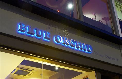 Blue Orchid | Brand Identity | Q&A Interior Design Cheltenham