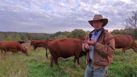 Greg Judy discusses the benefits of South Poll cattle on 100% grass ...