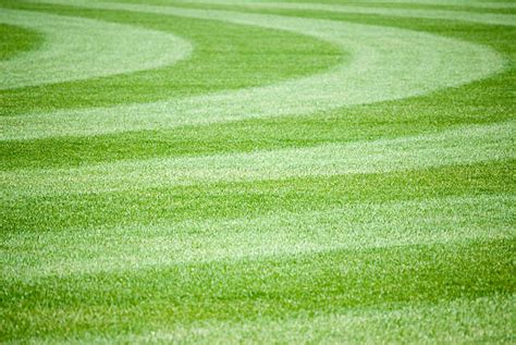 3,400+ Baseball Field Grass Stock Photos, Pictures & Royalty-Free ...