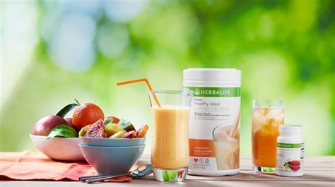 Herbalife Formula 1 Healthy Meal Nutritional Shakes – Recipes and Mix Ideas