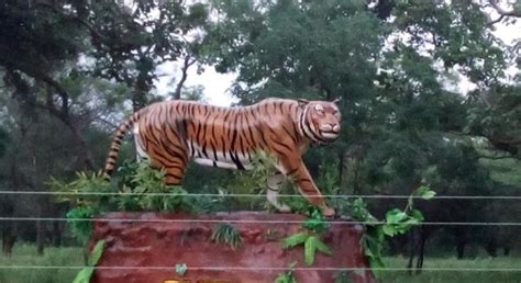 Sathyamangalam Tiger Reserve - Discover India