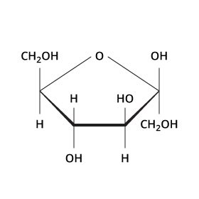 Carbohydrates | Biology | Visionlearning