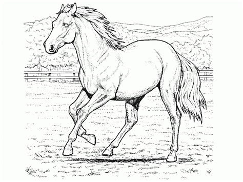 337 Ausmalbilder Pferde zum Ausdruck - Kostenlose Malvorlagen Pferde Horse Adult Coloring, Horse ...