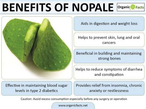 Benefits of NOPALES aka Cactus | Improve skin health, Cactus benefits ...