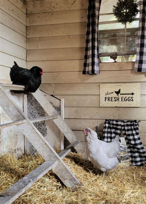 All about Roosting Bars in your Chicken Coop - Fresh Eggs Daily® with ...