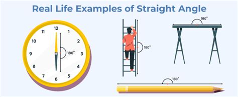 Straight Angle: Definition, Examples, Properties, & Construction