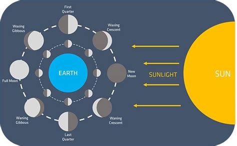 Aggregate more than 80 phases of moon sketch latest - seven.edu.vn