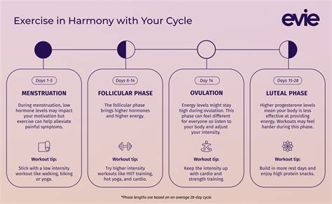 Menstrual Cycle Workout Plan: A Guide to Exercising During Your ...