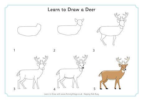 Learn to Draw a Deer | Easy animal drawings, Deer drawing easy, Deer drawing