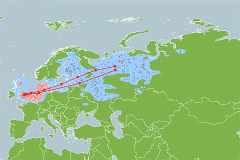 Migration | BTO - British Trust for Ornithology