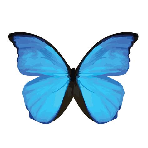 blue morpho butterfly - Clip Art Library